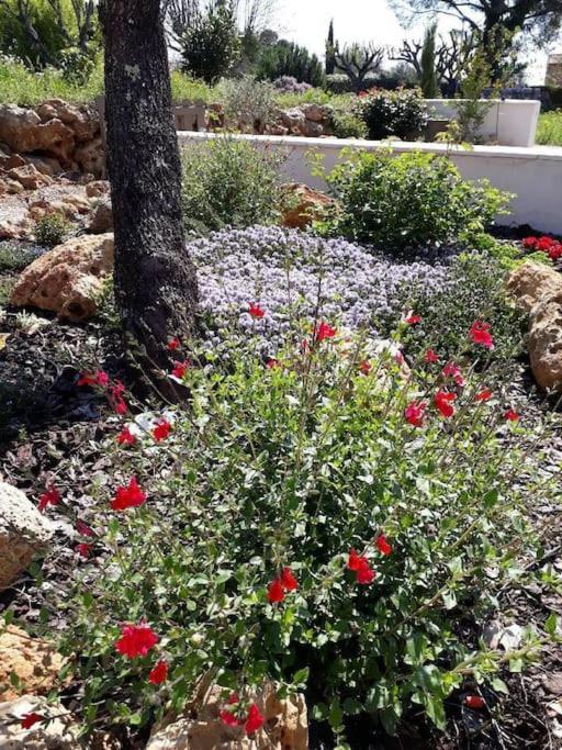 Maison 2 Ou 4 Personnes Jardin Parking Les Amandiers Lorgues Exterior photo